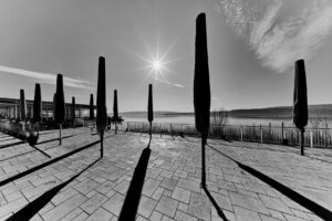 Schwarzweiß-Foto: Sonnenschirme am Seeufer mit Sonnenschein und langen Schatten.
