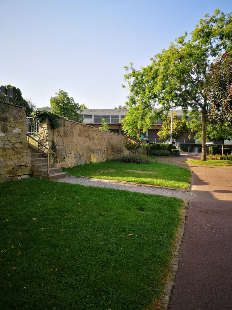 Grüne Parkanlage mit Rasen, Bäumen und Steinmauer. Treppe führt nach oben. Natur und Architektur im Freien.