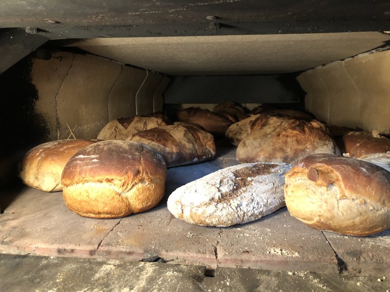 Brotbacken und Verkosten am Mögginger Backhüsle und Führung durch den Gemeinschaftsgarten